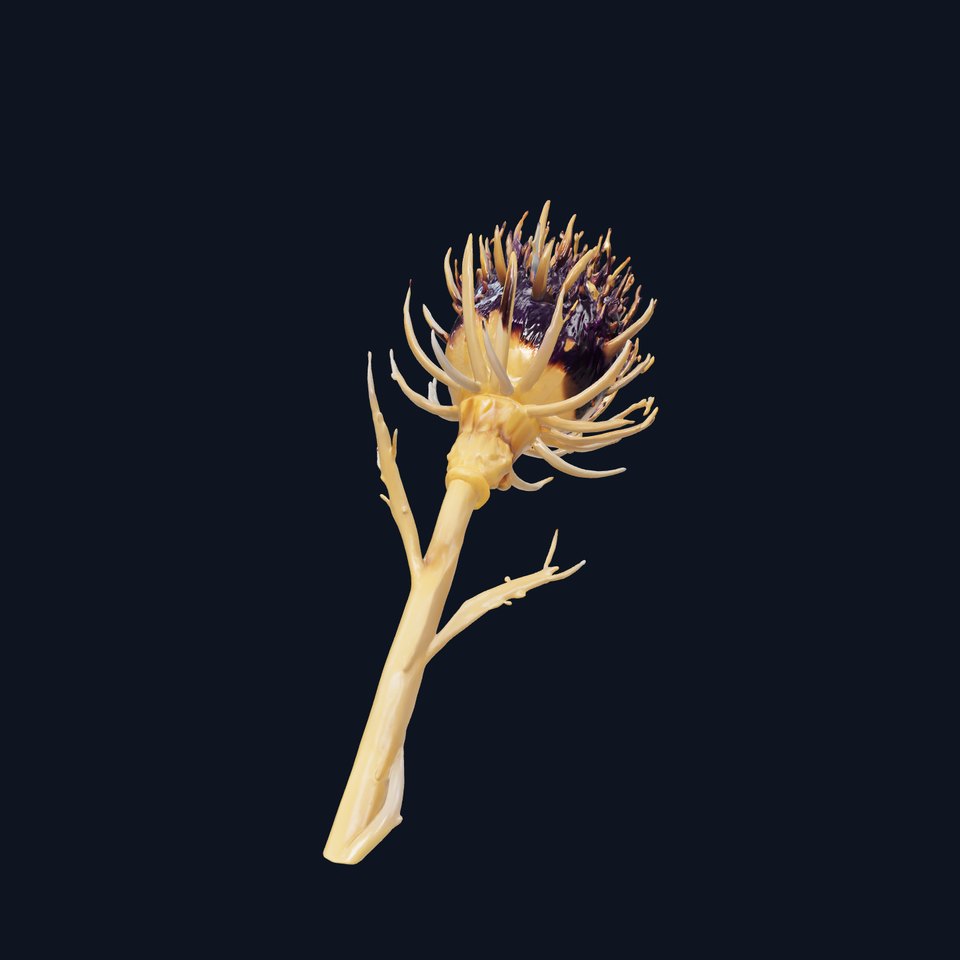 Luxurious Thistle Gold Accent Model Pack